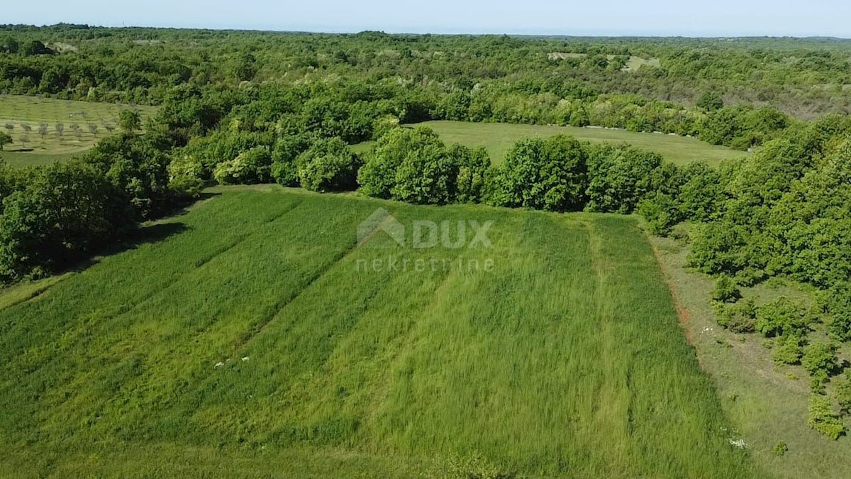 Dom Na predaj - ISTARSKA SVETVINČENAT