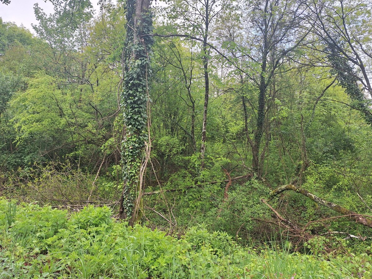 Terreno In vendita - PRIMORSKO-GORANSKA MATULJI