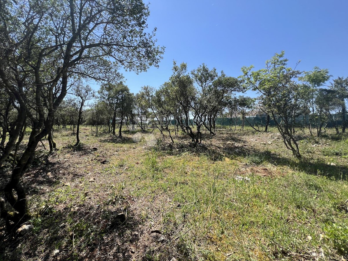 Terreno In vendita - ISTARSKA LIŽNJAN