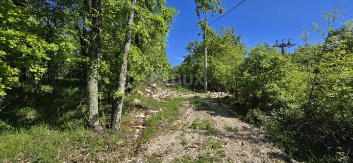Parcela Naprodaj - Istarska Pićan - foto 5/11