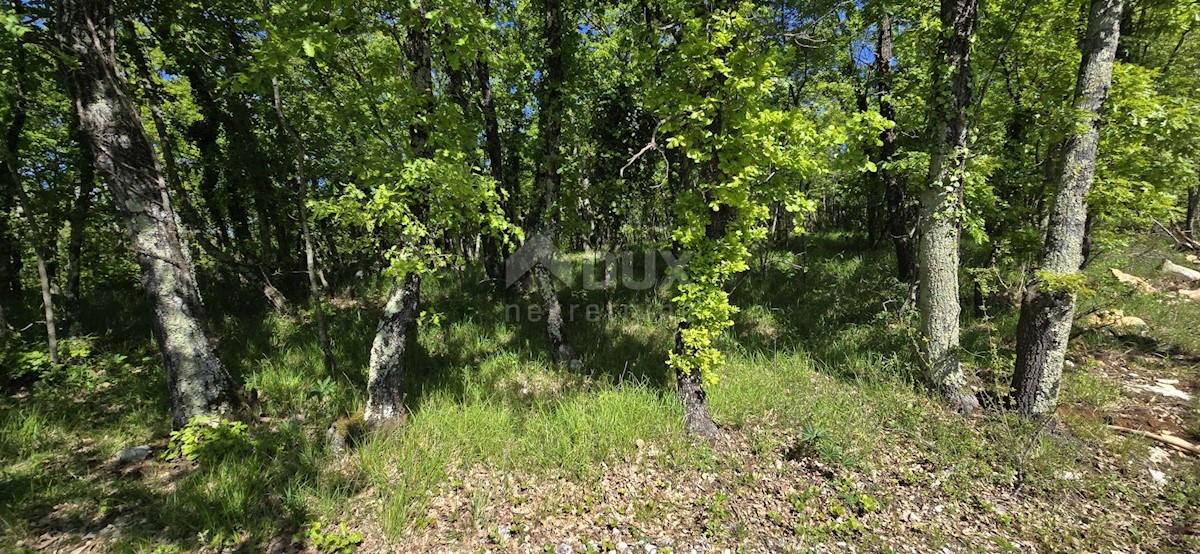Parcela Na predaj - ISTARSKA PIĆAN
