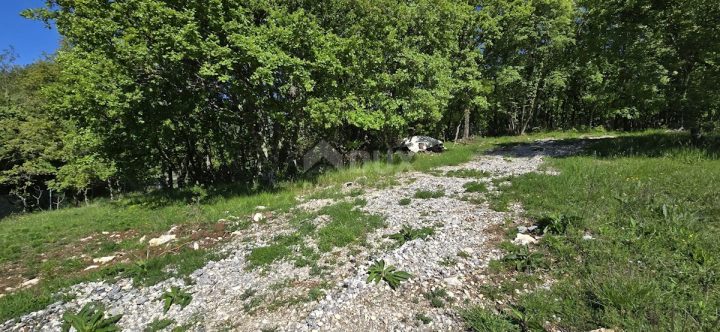 Land for sale 3454 m² – Pićan