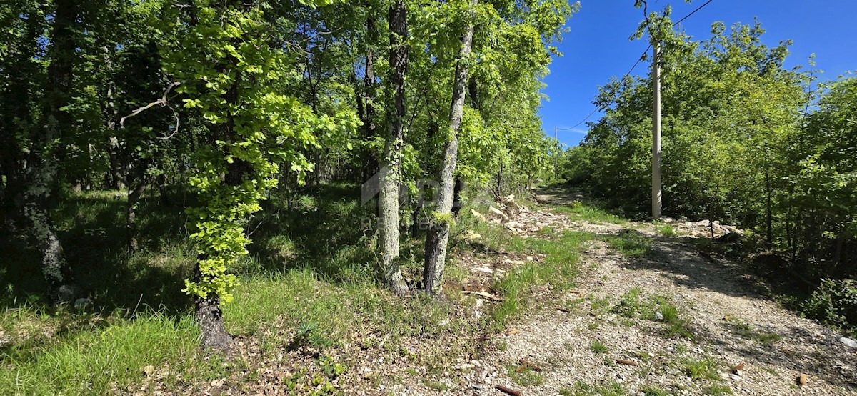 Terreno In vendita - ISTARSKA PIĆAN