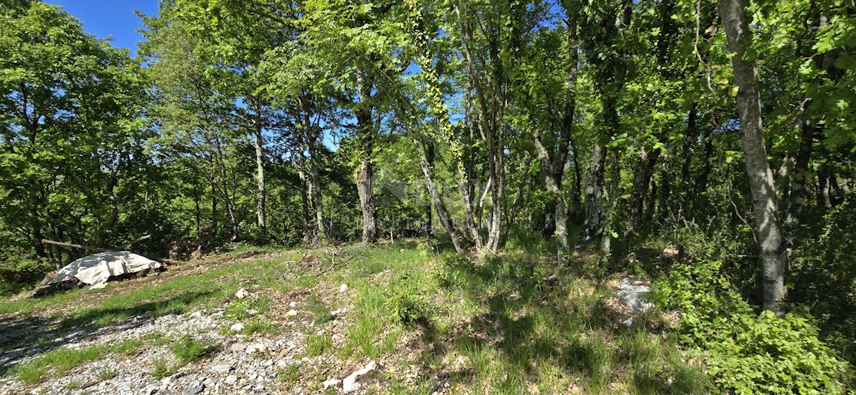 Terreno In vendita - ISTARSKA PIĆAN