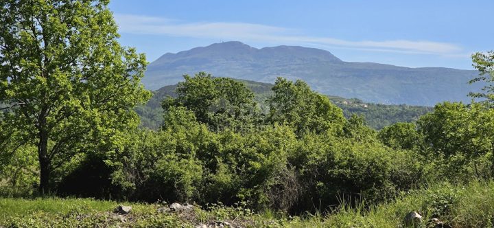 Parcela Naprodaj - Istarska Pićan - foto 5/29
