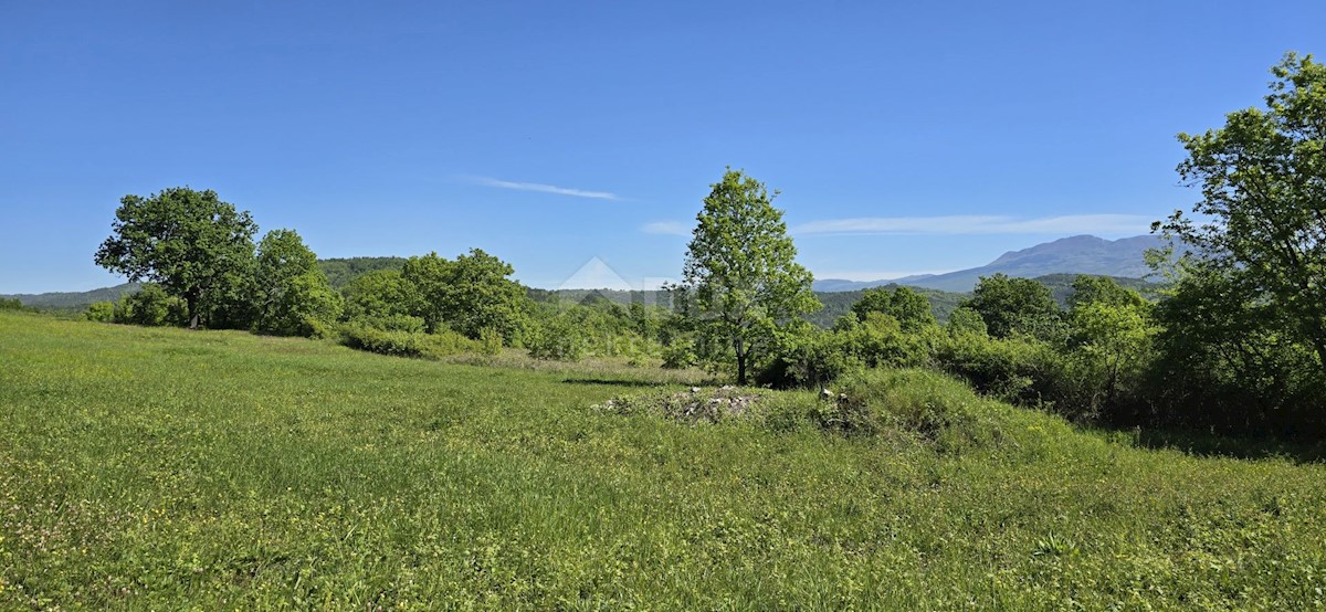 Terreno In vendita - ISTARSKA PIĆAN