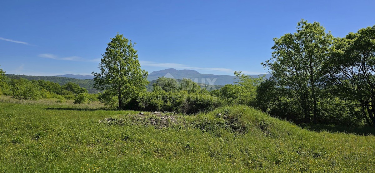 Terreno In vendita - ISTARSKA PIĆAN