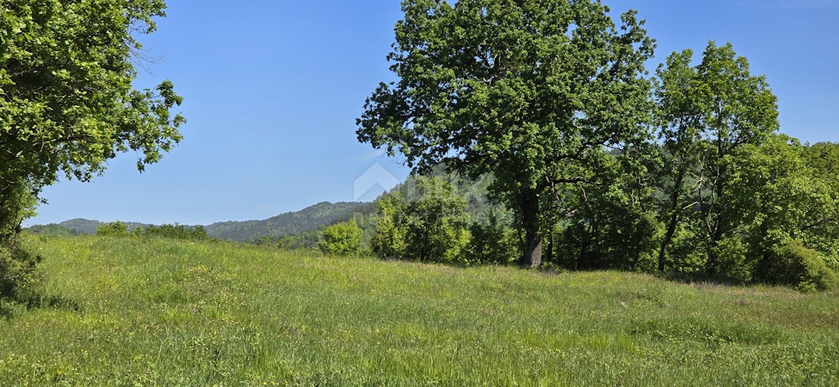 Terreno In vendita - ISTARSKA PIĆAN