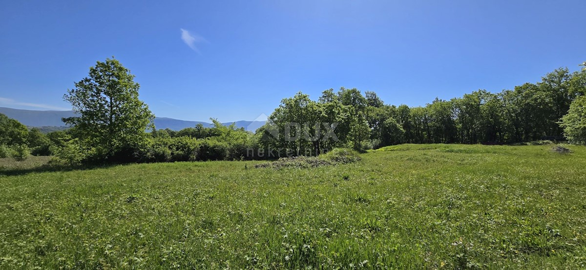 Terreno In vendita - ISTARSKA PIĆAN