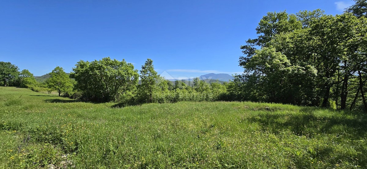 Terreno In vendita - ISTARSKA PIĆAN