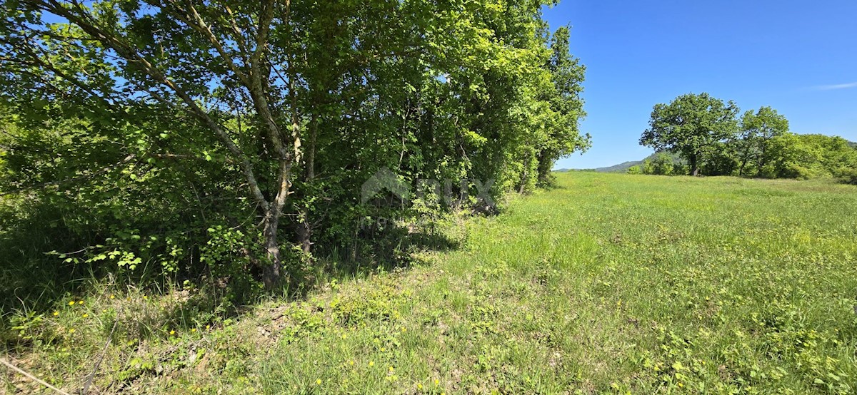 Terreno In vendita - ISTARSKA PIĆAN