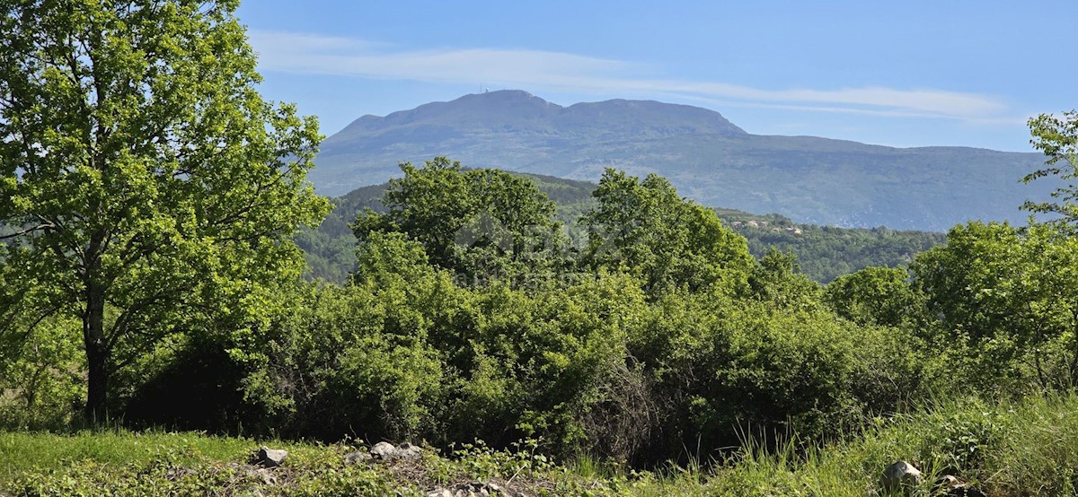 Terreno In vendita - ISTARSKA PIĆAN