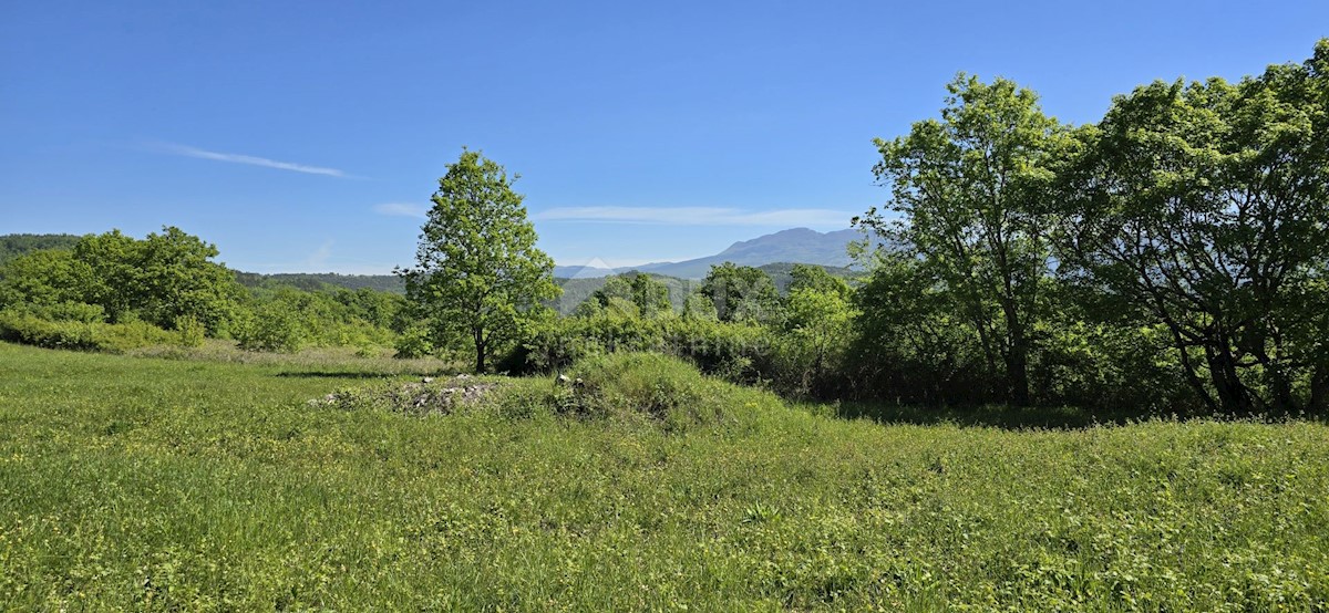 Terreno In vendita - ISTARSKA PIĆAN