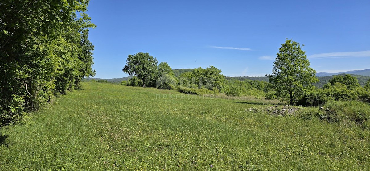 Terreno In vendita - ISTARSKA PIĆAN