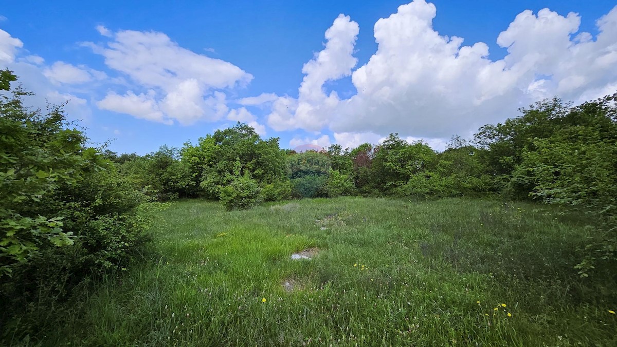 Land For sale - Istarska Buje