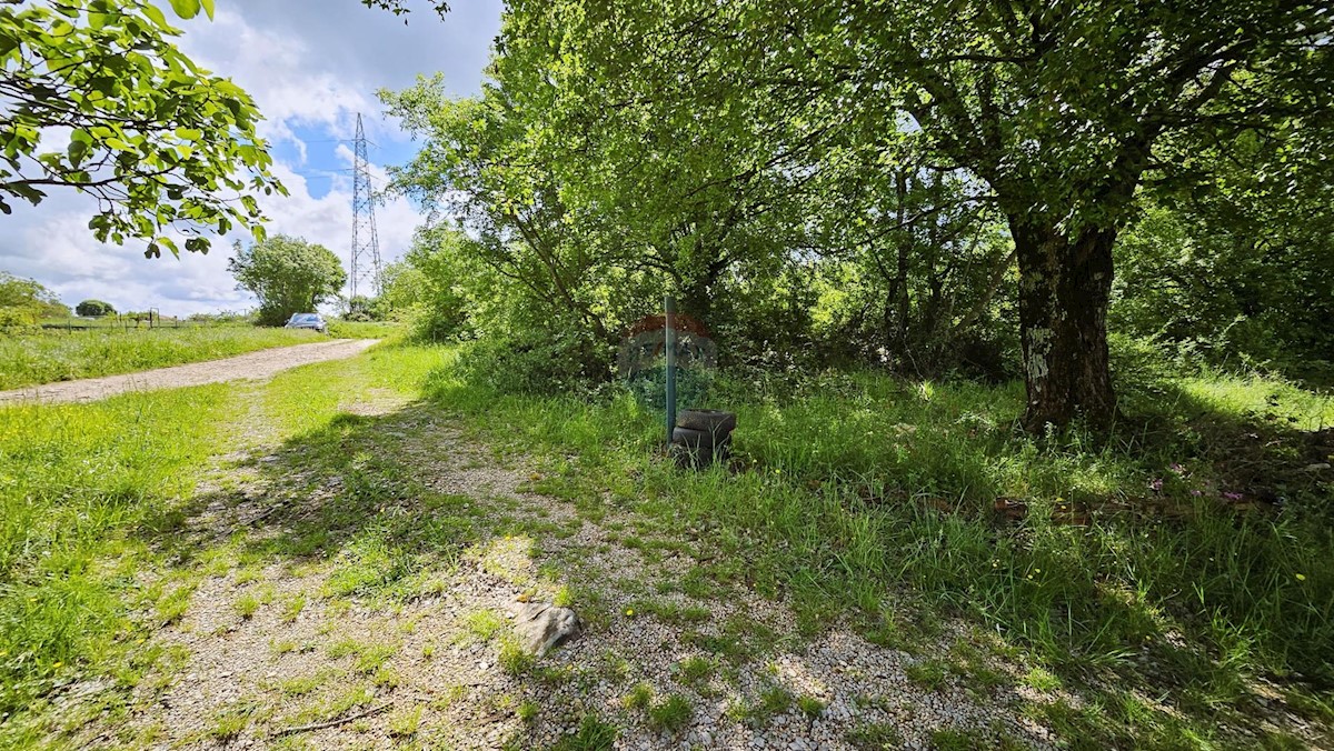 Land For sale - Istarska Buje