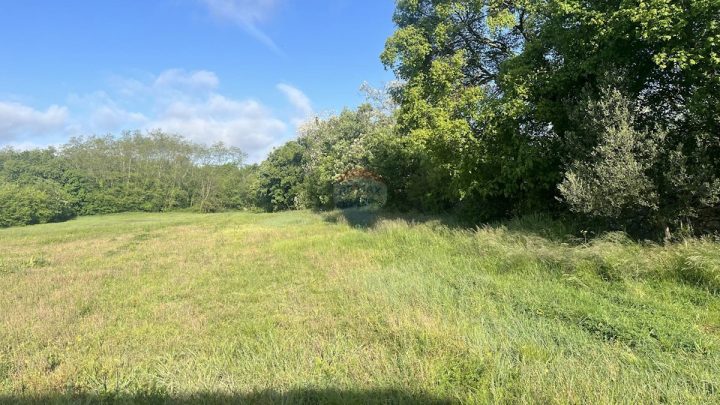 Land For sale - Istarska Tinjan - foto 4/4
