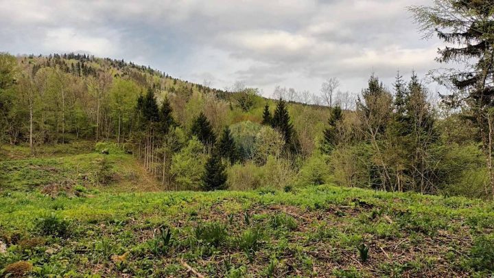 Terrain À vendre - Primorsko-goranska Vrbovsko - foto 3/5