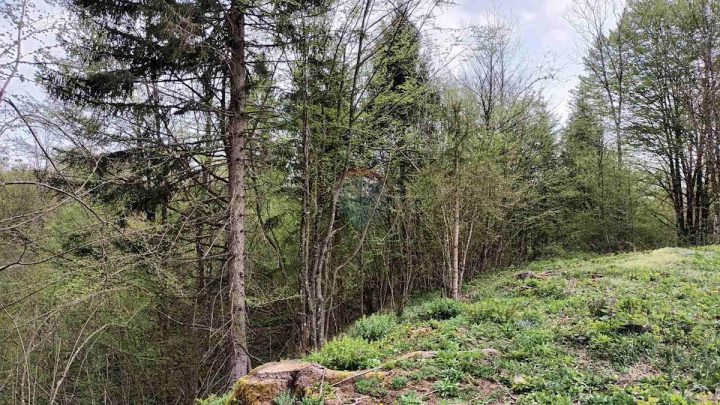 Terrain À vendre - Primorsko-goranska Vrbovsko - foto 4/5