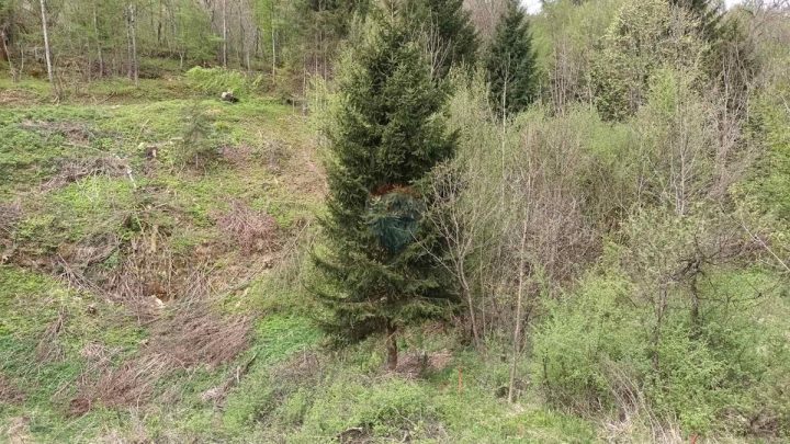 Terrain À vendre - Primorsko-goranska Vrbovsko - foto 5/5