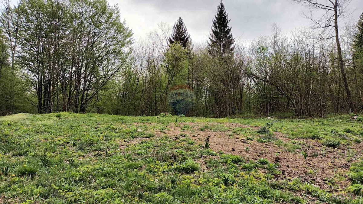 Land For sale - PRIMORSKO-GORANSKA VRBOVSKO