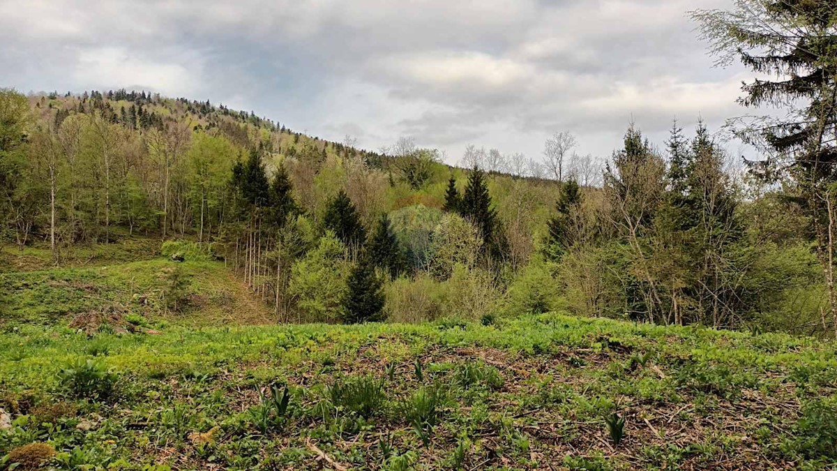 Pozemek Na prodej - PRIMORSKO-GORANSKA VRBOVSKO