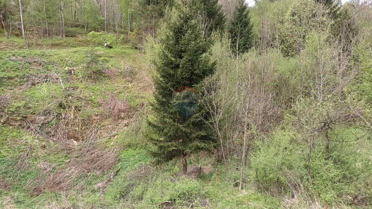 Grundstück Zu verkaufen - PRIMORSKO-GORANSKA VRBOVSKO