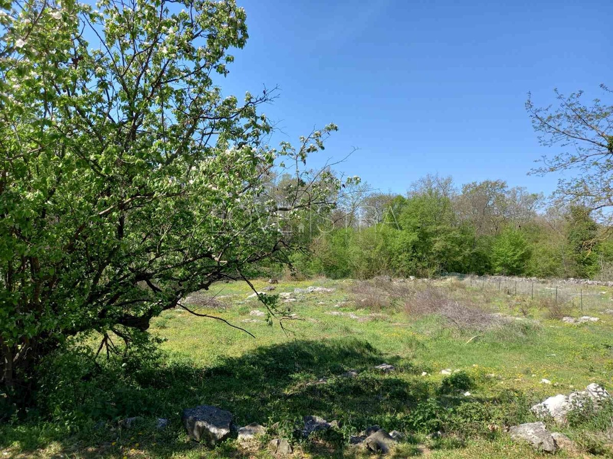 Terreno In vendita - ISTARSKA SVETI LOVREČ