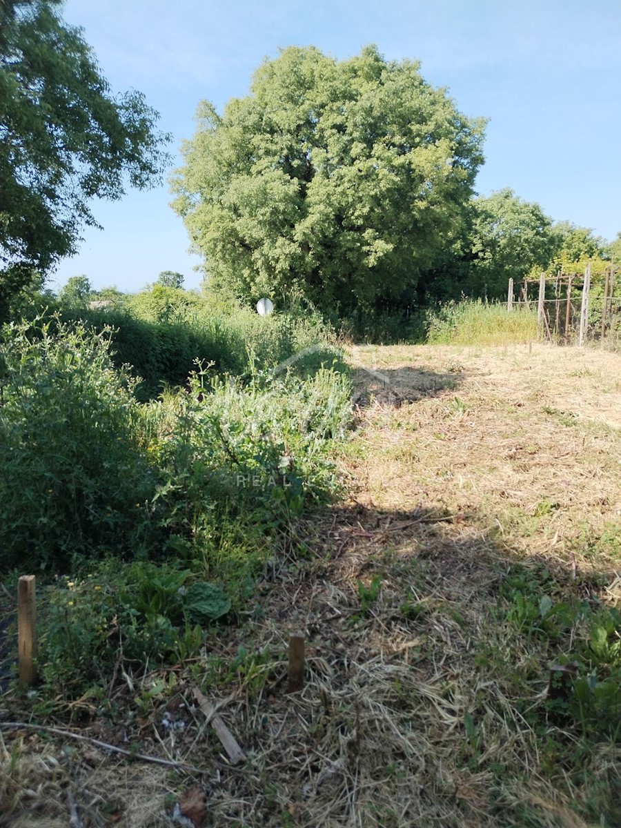 Terreno In vendita - ISTARSKA LIŽNJAN