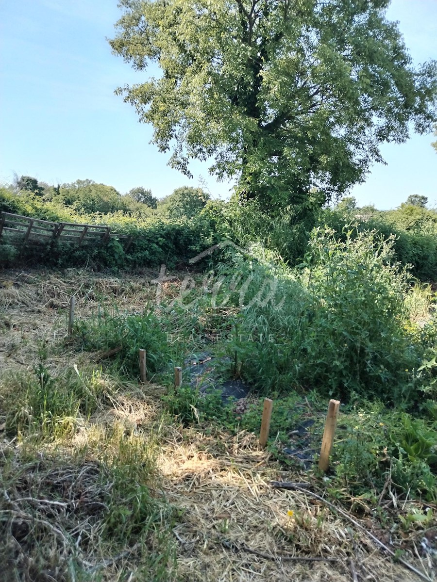 Terreno In vendita - ISTARSKA LIŽNJAN