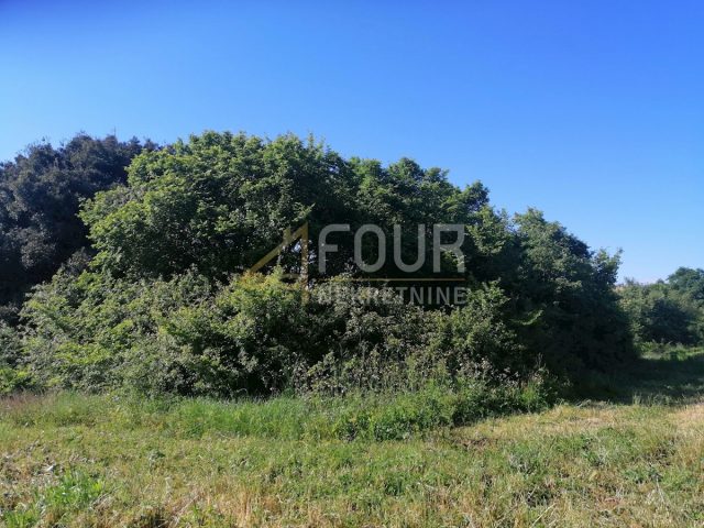 Pozemek na prodej 9985 m² – Valtura