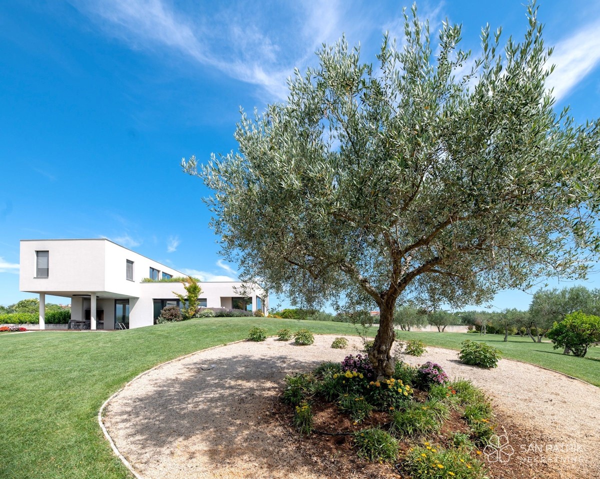 House For sale - ISTARSKA UMAG