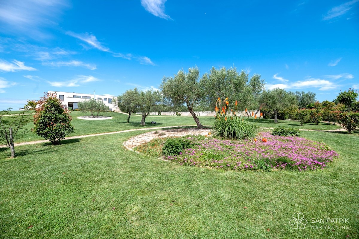 House For sale - ISTARSKA UMAG