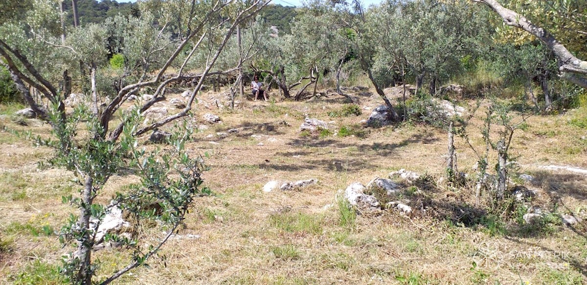 Land For sale - ZADARSKA ZADAR