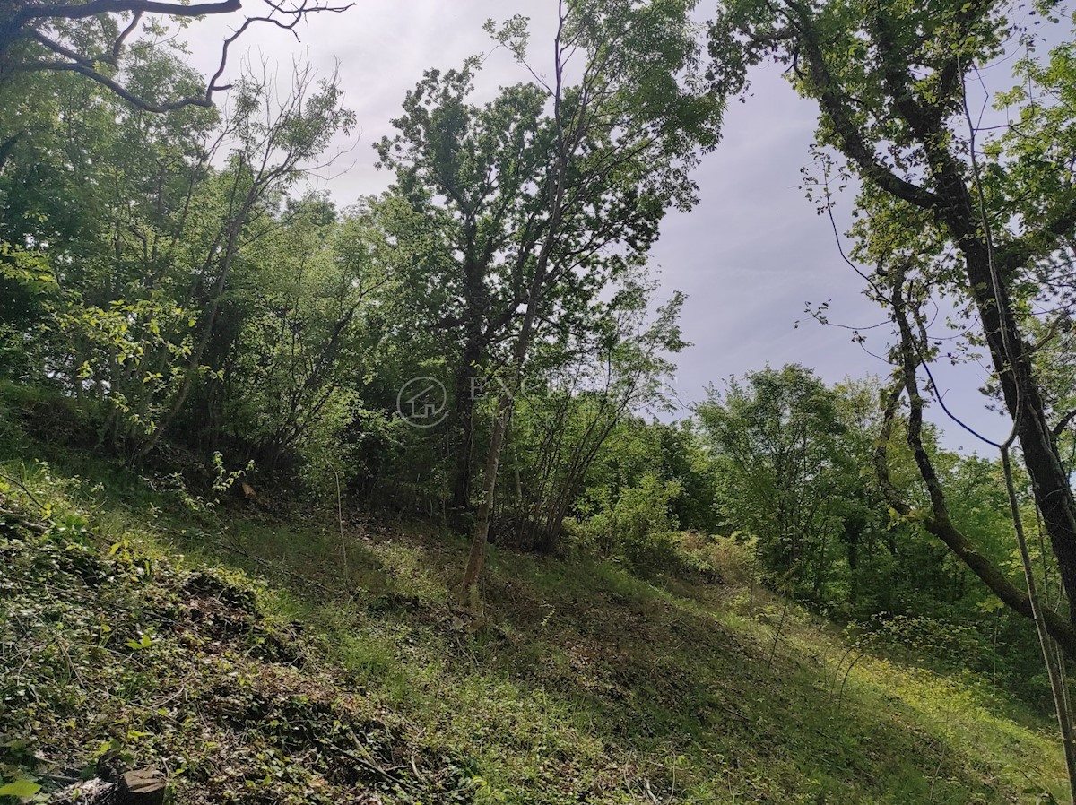 Land For sale - Istarska Buzet - foto 3/5