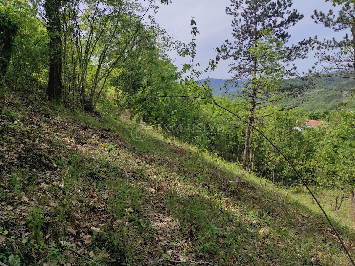 Land For sale - Istarska Buzet - foto 5/5