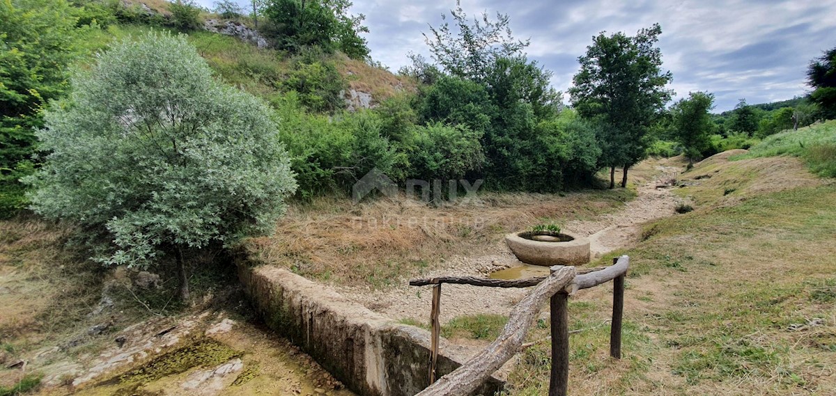 Commerciale In vendita - ISTARSKA MOTOVUN