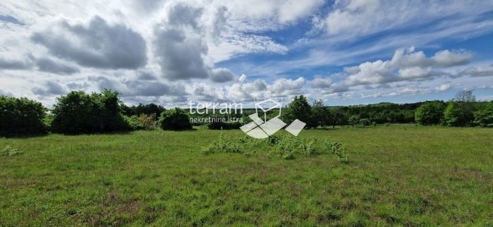 Terreno in vendita 4776 m² – Svetvinčenat