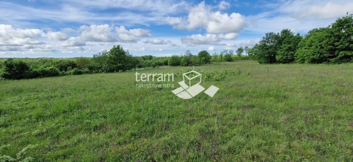 Terrain À vendre - Istarska Svetvinčenat - foto 2/4
