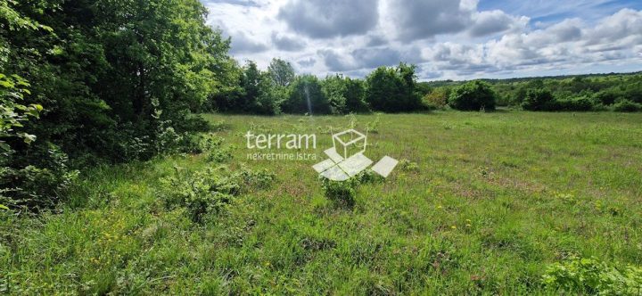 Terrain À vendre - Istarska Svetvinčenat - foto 3/4