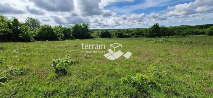 Terrain À vendre - Istarska Svetvinčenat - foto 4/4