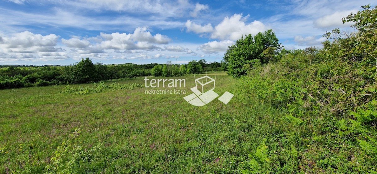 Terrain À vendre - ISTARSKA Svetvinčenat