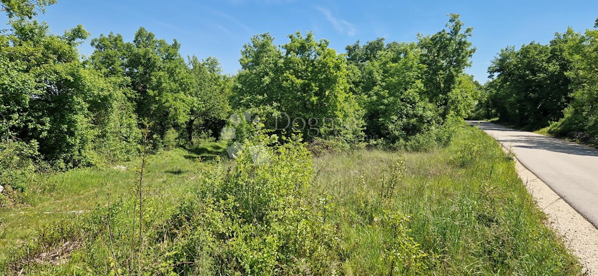 Pozemok Na predaj - ISTARSKA TINJAN