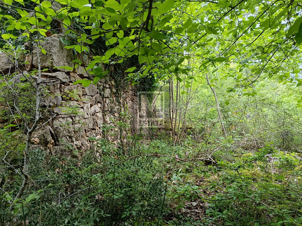 Dom Na sprzedaż - Istarska Poreč - foto 1/2