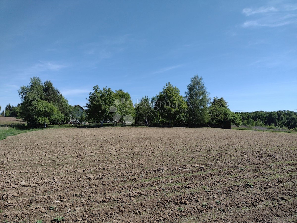 Maison À vendre - SISAČKO-MOSLAVAČKA GVOZD