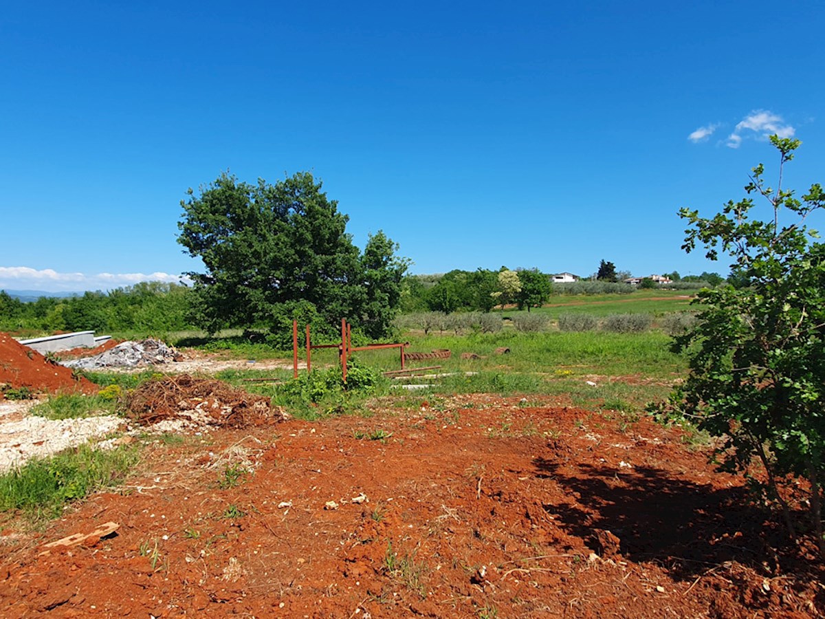 Land For sale - ISTARSKA VIŽINADA