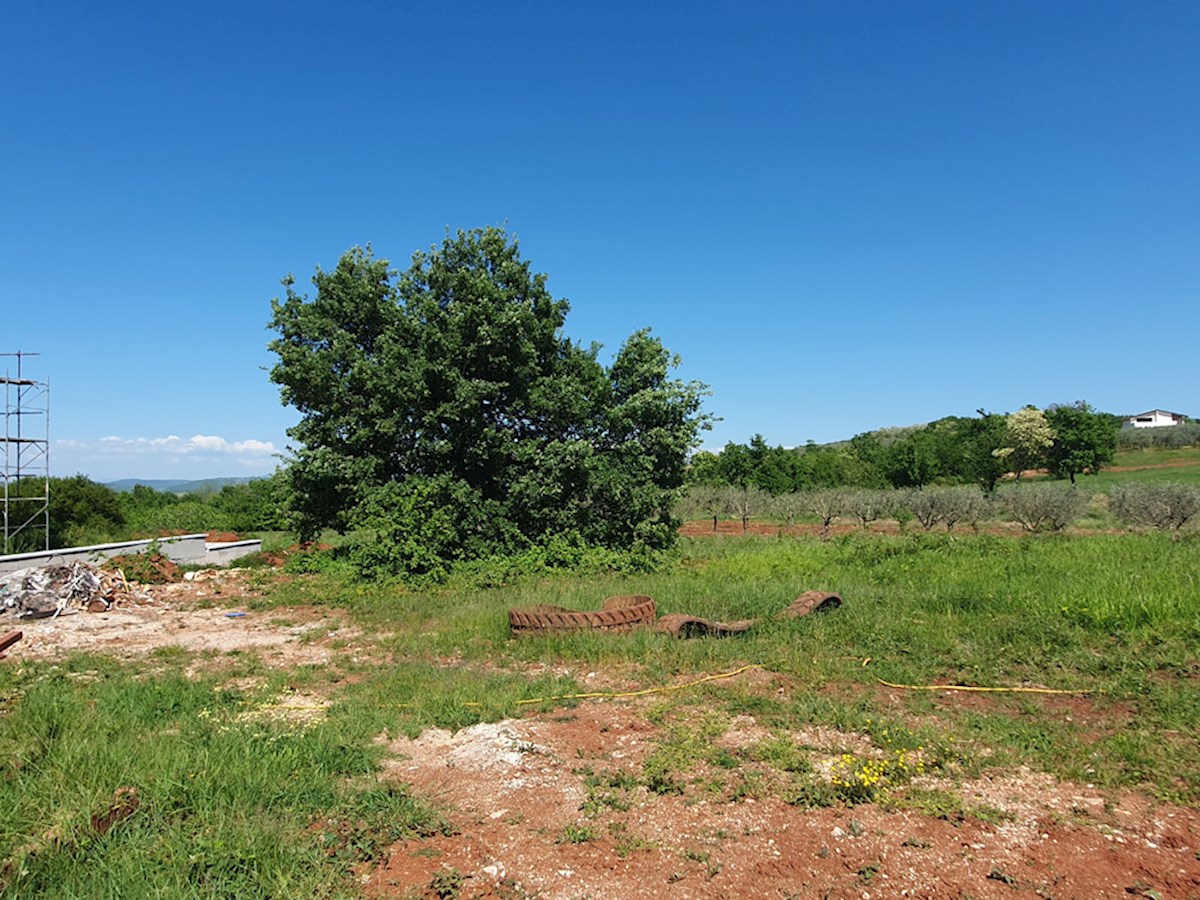 Land For sale - ISTARSKA VIŽINADA