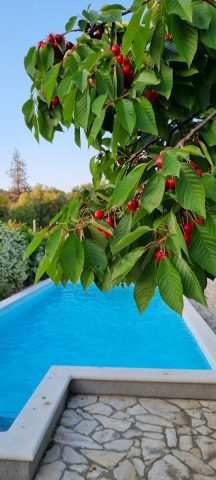 House For sale - Zadarska Zadar - foto 4/5