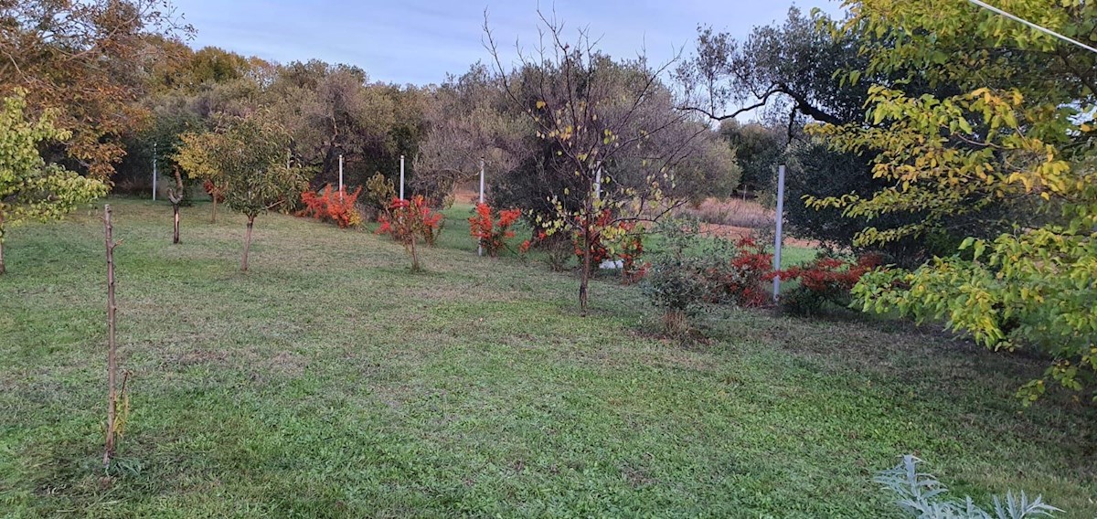 House For sale - ZADARSKA Zadar