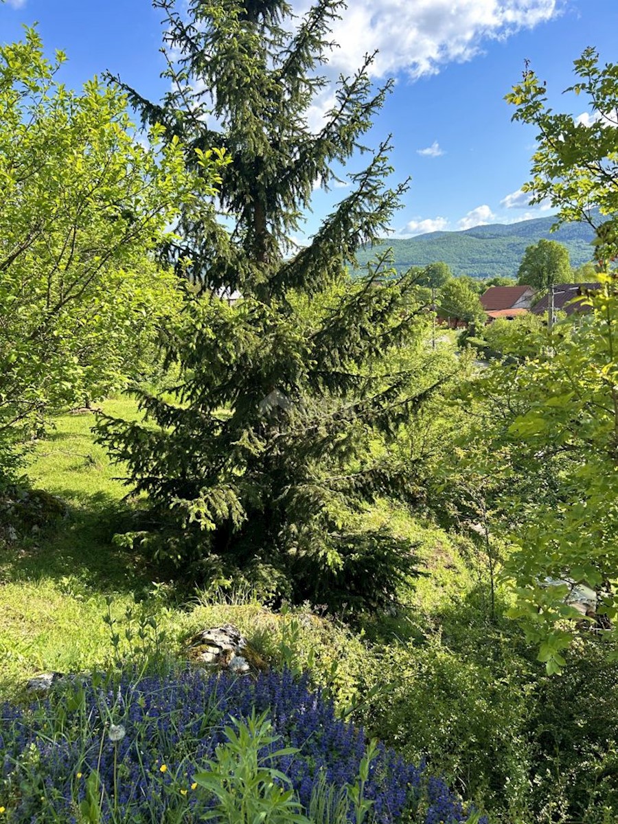 Haus Zu verkaufen - LIČKO-SENJSKA OTOČAC